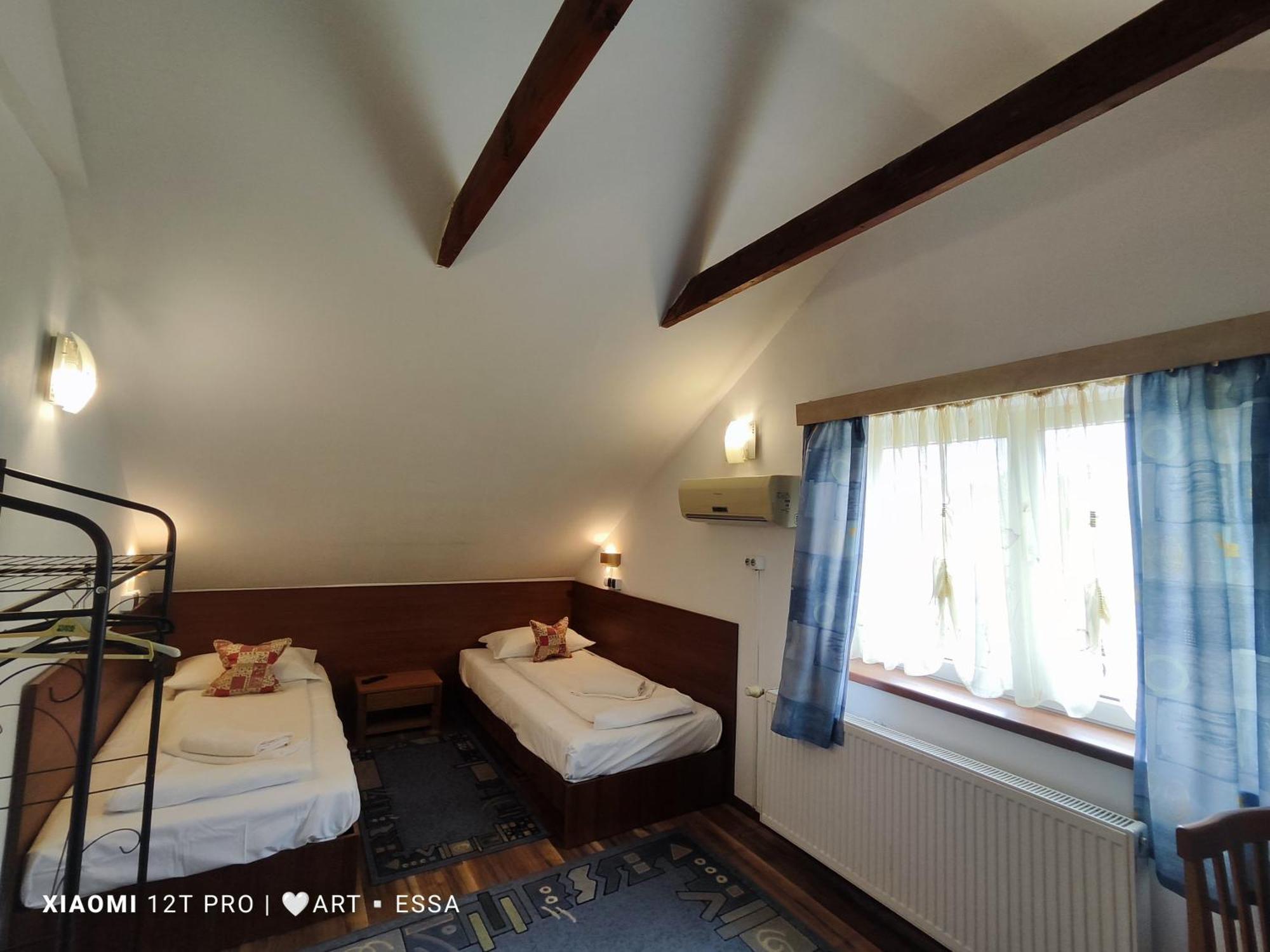 Pensiunea Buon Gusto Pensiune 3*